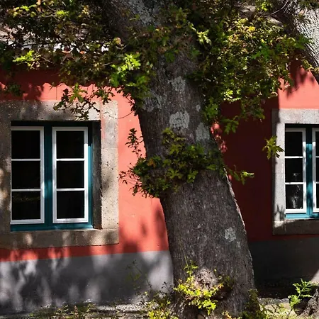 Quinta Das Vinhas-3